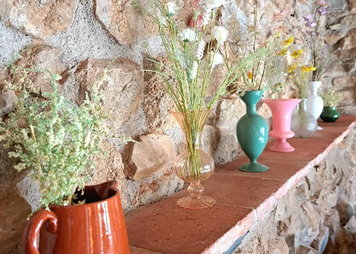 El Mas De Sant Vicenc - Apartamentos Rurales